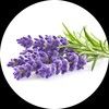lavenderoseshop